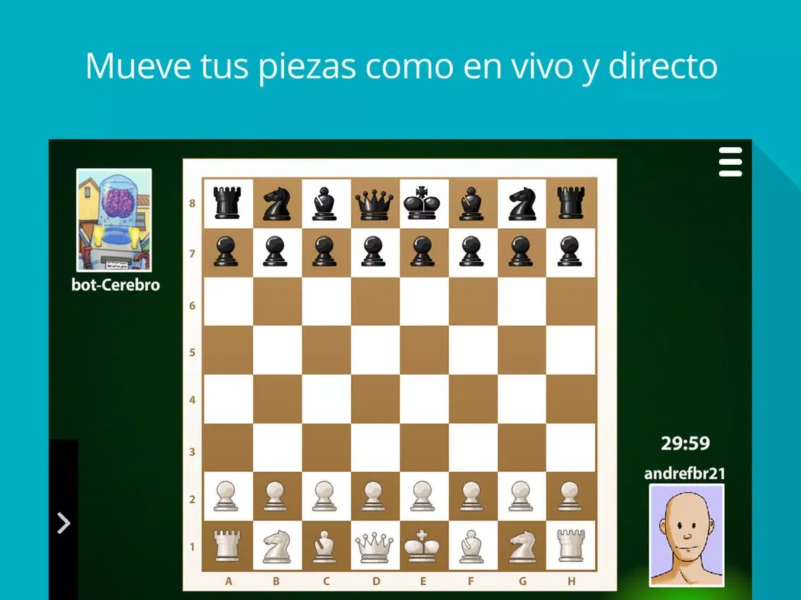 Captures d'écran de Ajadrez MagnoJuegos iPad 