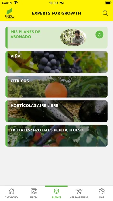 COMPO EXPERT Spain应用截图