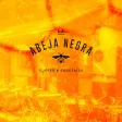 Abeja Negra