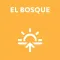 Conoce El Bosque