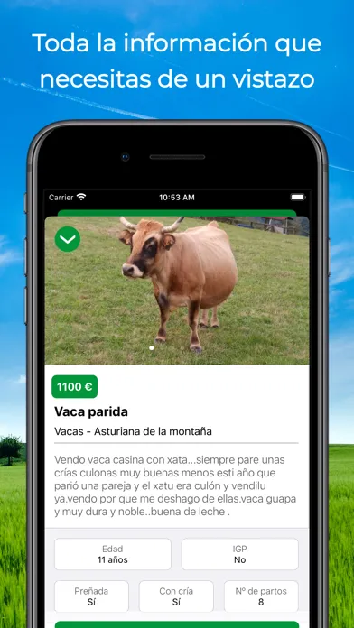 Vacapop - Compraventa ganadera Screenshots