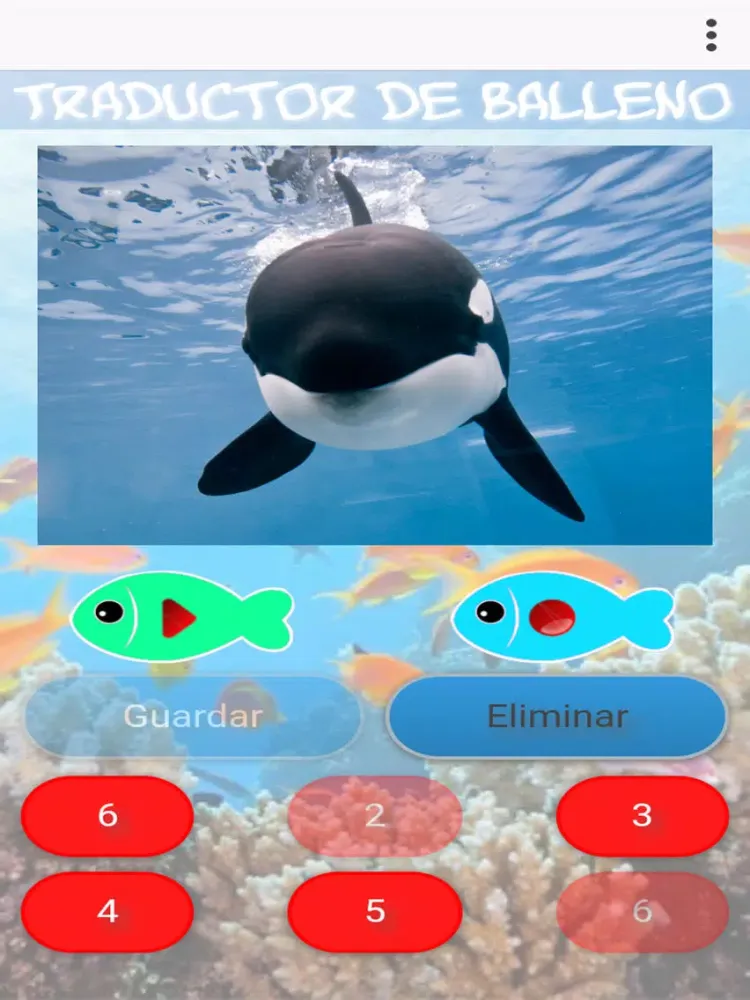 تصاویر Balleno iPad 