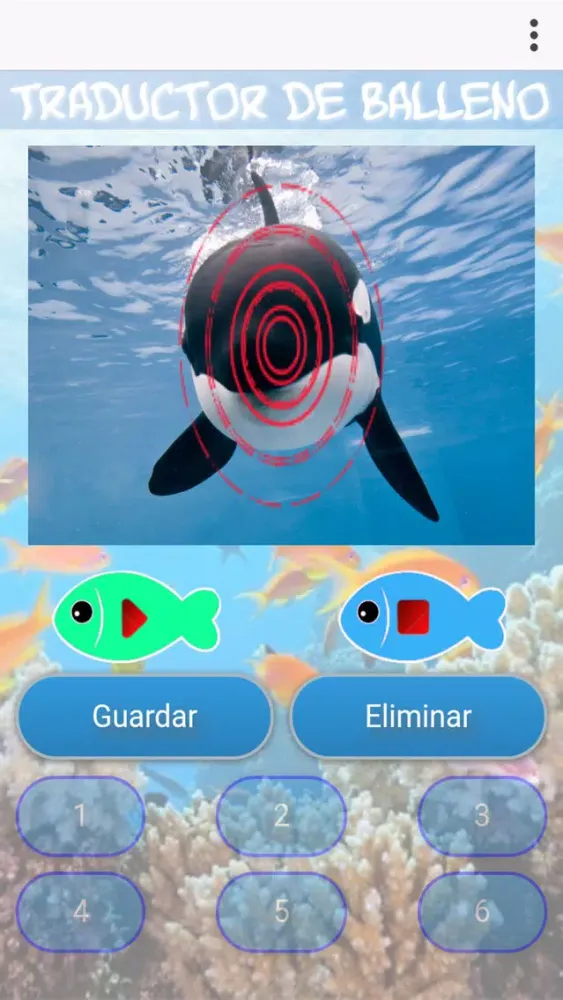 تصاویر Balleno