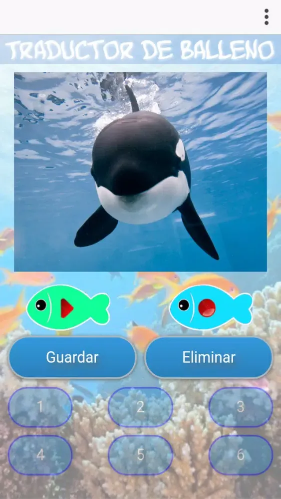 تصاویر Balleno