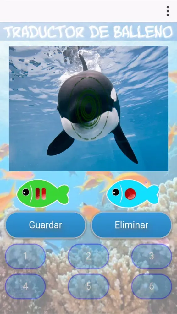تصاویر Balleno