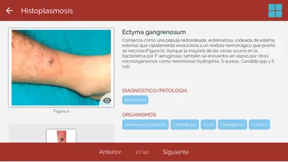 Скриншоты Dicc. Enfermedades infecciosas