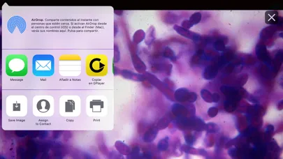 Скриншоты Dicc. Enfermedades infecciosas