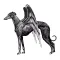 El Galgo Alado®