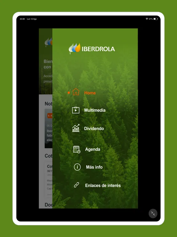 Скриншоты IBERDROLA Investors Relations iPad 