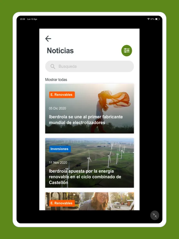 Скриншоты IBERDROLA Investors Relations iPad 