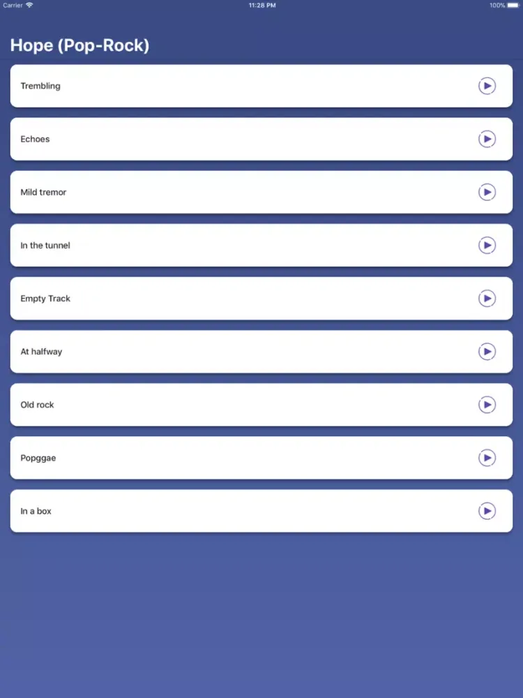 Make Your Song Track Recorder iPad  Screenshots