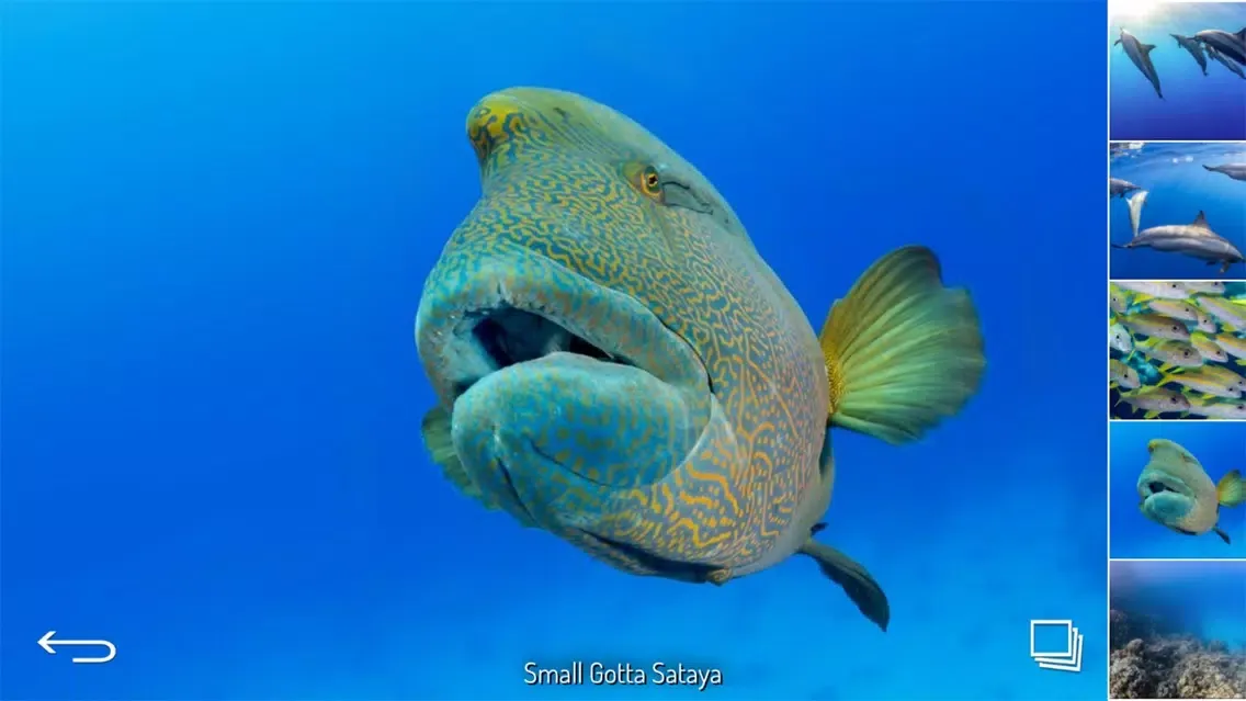 Tangkapan skrin PADI VR Scuba Planner
