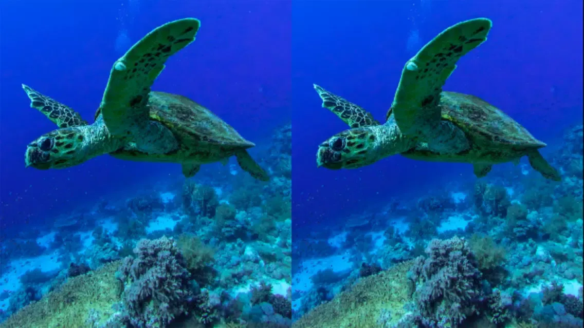 Tangkapan skrin PADI VR Scuba Planner