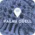 Palau Güell