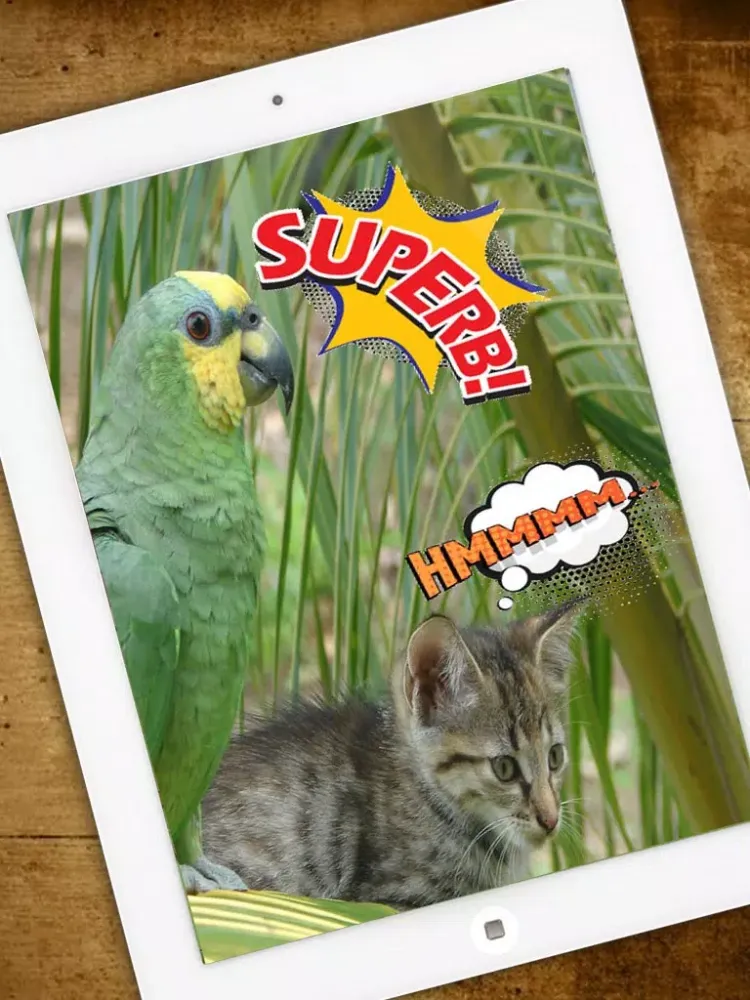 comic - photo stickers - Funny stickers - Premium iPad  سکرین شاٹس