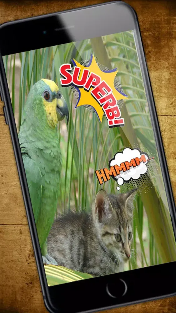comic - photo stickers - Funny stickers - Premium سکرین شاٹس