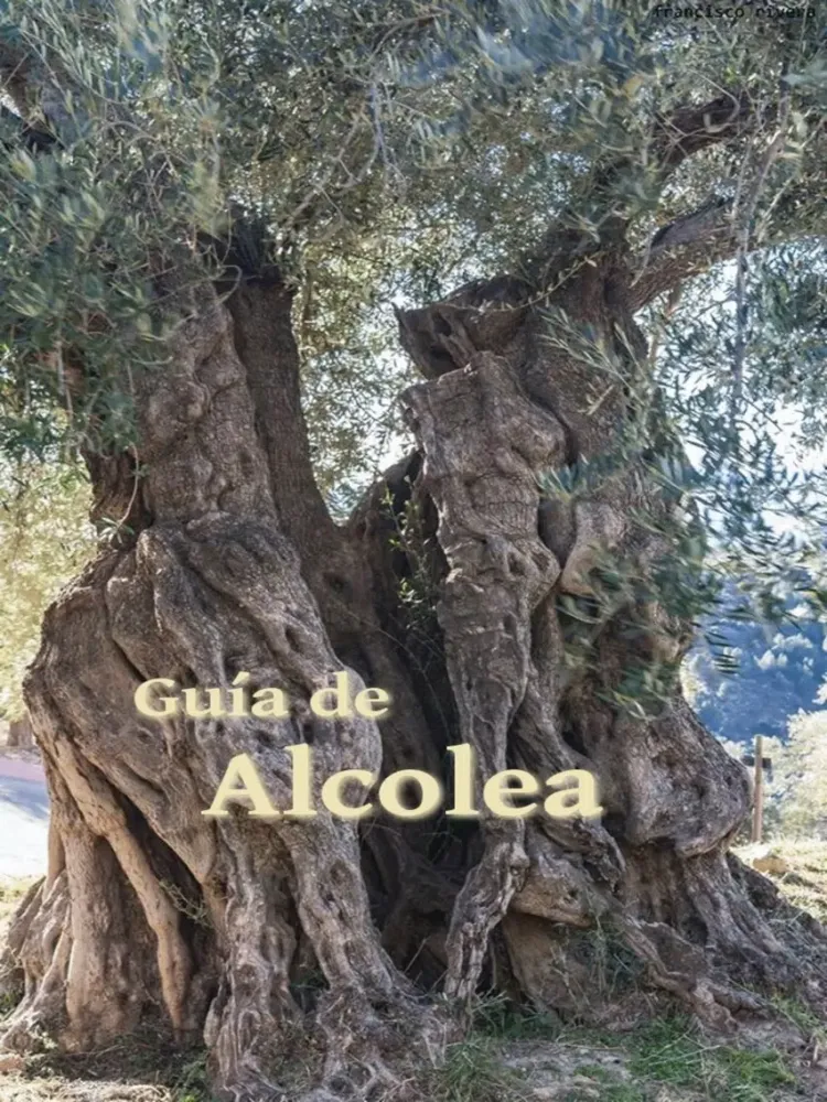 Guía de Alcolea iPad  স্ক্রিনশট