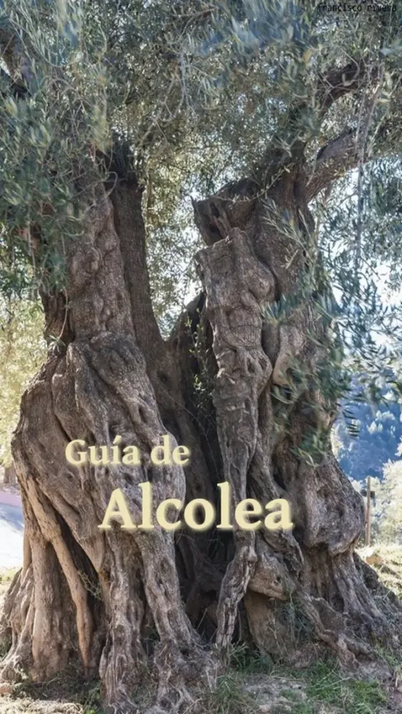 Guía de Alcolea স্ক্রিনশট