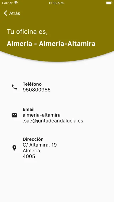 Servicio Andaluz de Empleo Ekran Görüntüleri