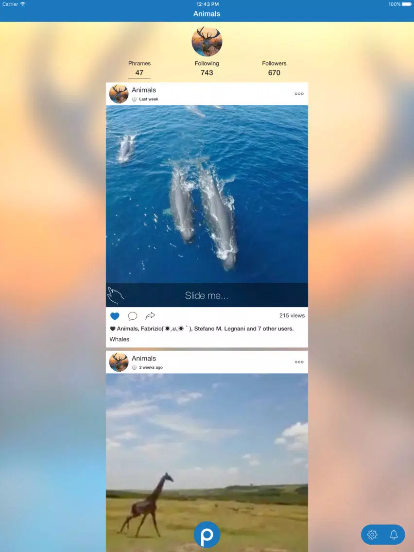 Phrames - touchable GIF camera iPad  스크린샷