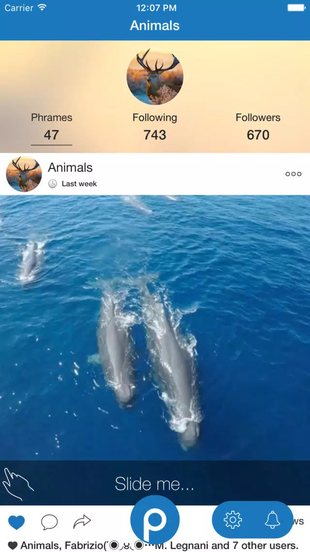 Phrames - touchable GIF camera 스크린샷