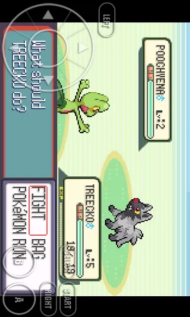Tangkapan layar Pokemon Omega Ruby