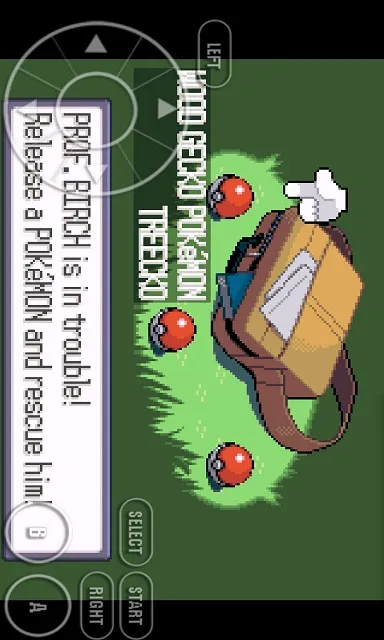 Tangkapan layar Pokemon Omega Ruby