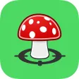 MushroomsFindr