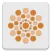 Calendula