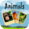 Puzzle with animals sound- Educational game