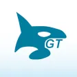 GT Orcas GT Orcas