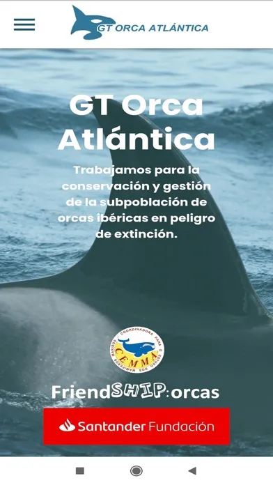 Capturas de tela do GT Orcas