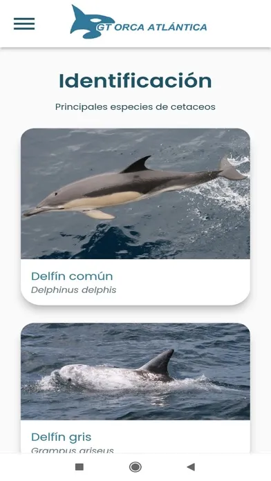 Capturas de tela do GT Orcas