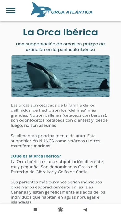 Capturas de tela do GT Orcas