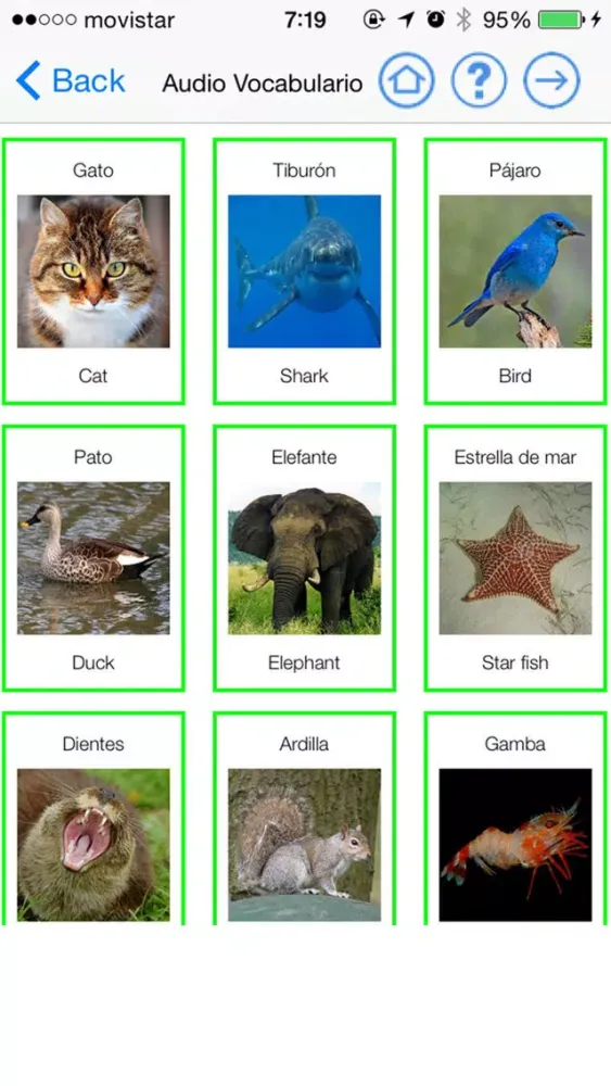 Zrzuty ekranu Learn English Speaking Easily In 30 days With Lingo Learning for iPhone