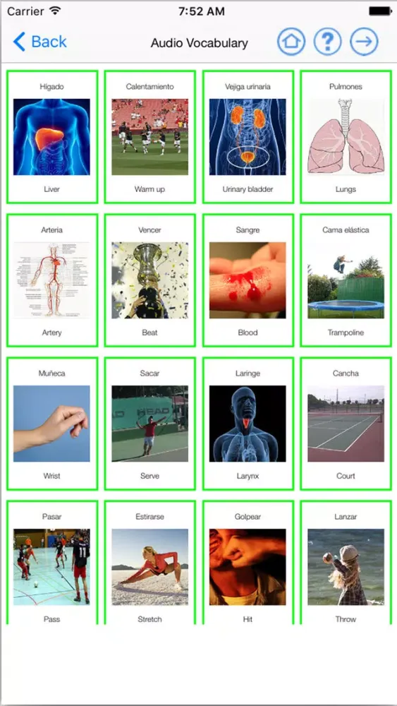 English Flyers 2 Learn Speaking Easily for iPhone Screenshots