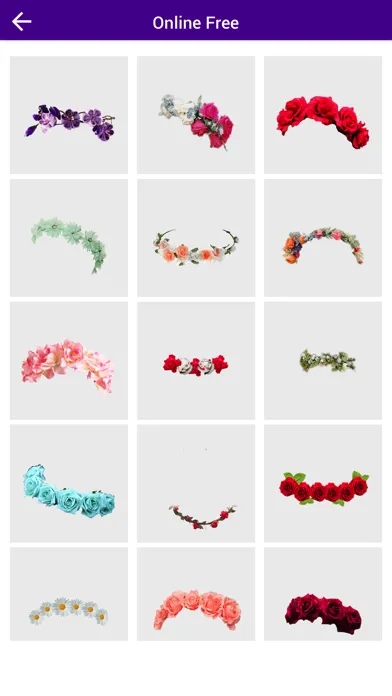 Flower Crown Photo Booth Screenshots