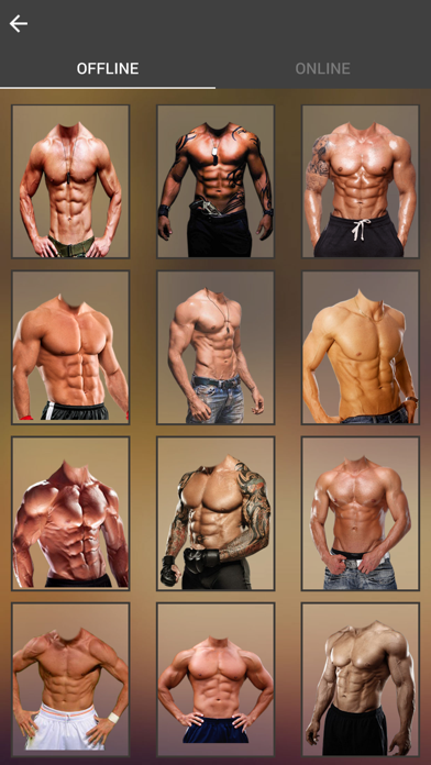 Six Pack Photo Montage应用截图
