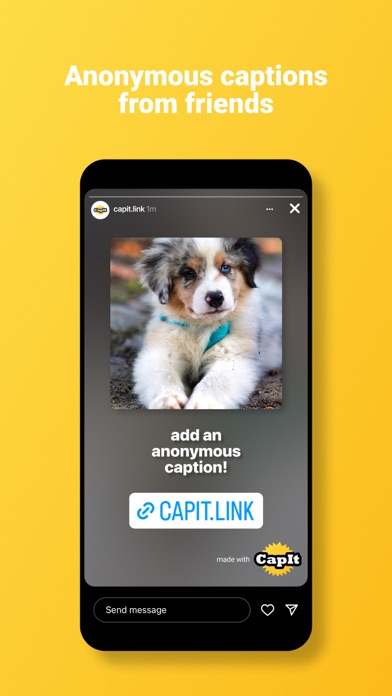 Скриншоты CapIt • The Caption App