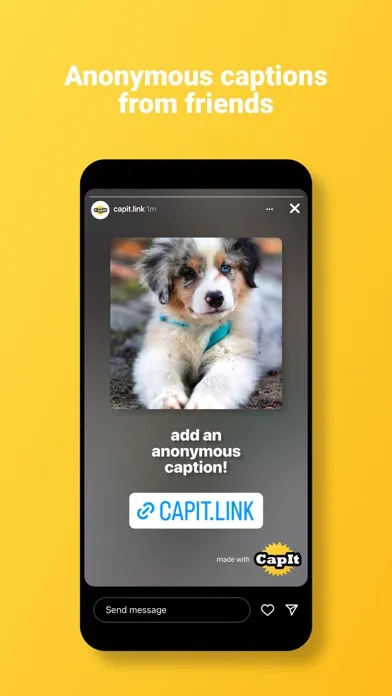 صور CapIt • The Caption App
