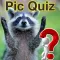 Pic Quiz 2018