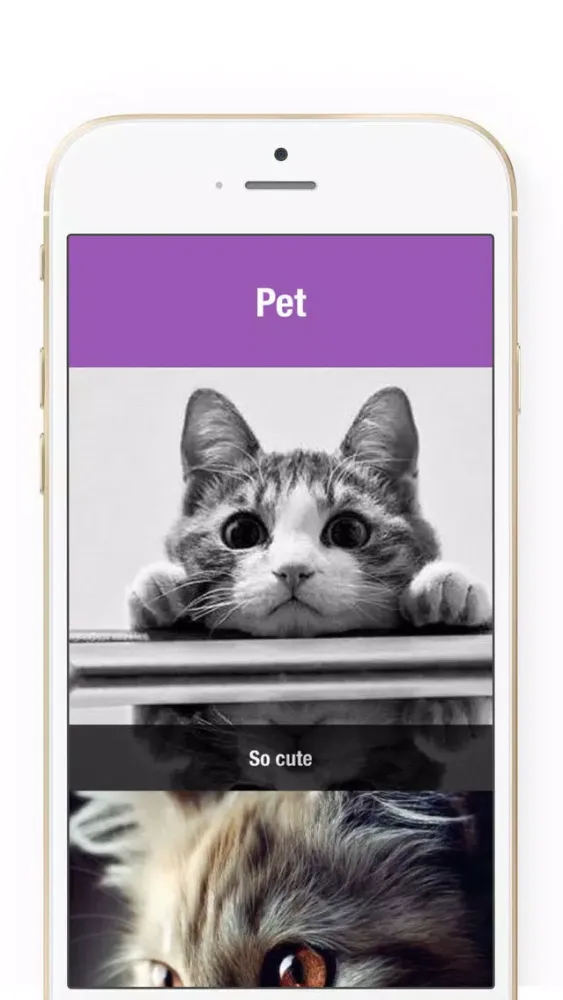 Stitch Pic Collageable - Photo Collage Maker Screenshots