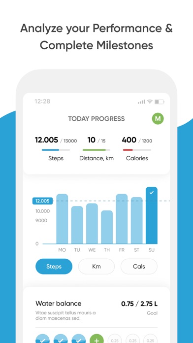 Pedometer-Steppy スクリーンショット