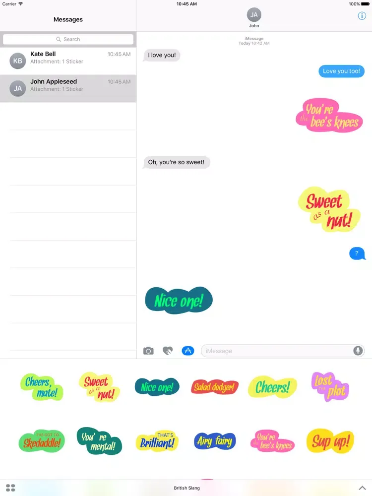 تصاویر British Slang iPad 