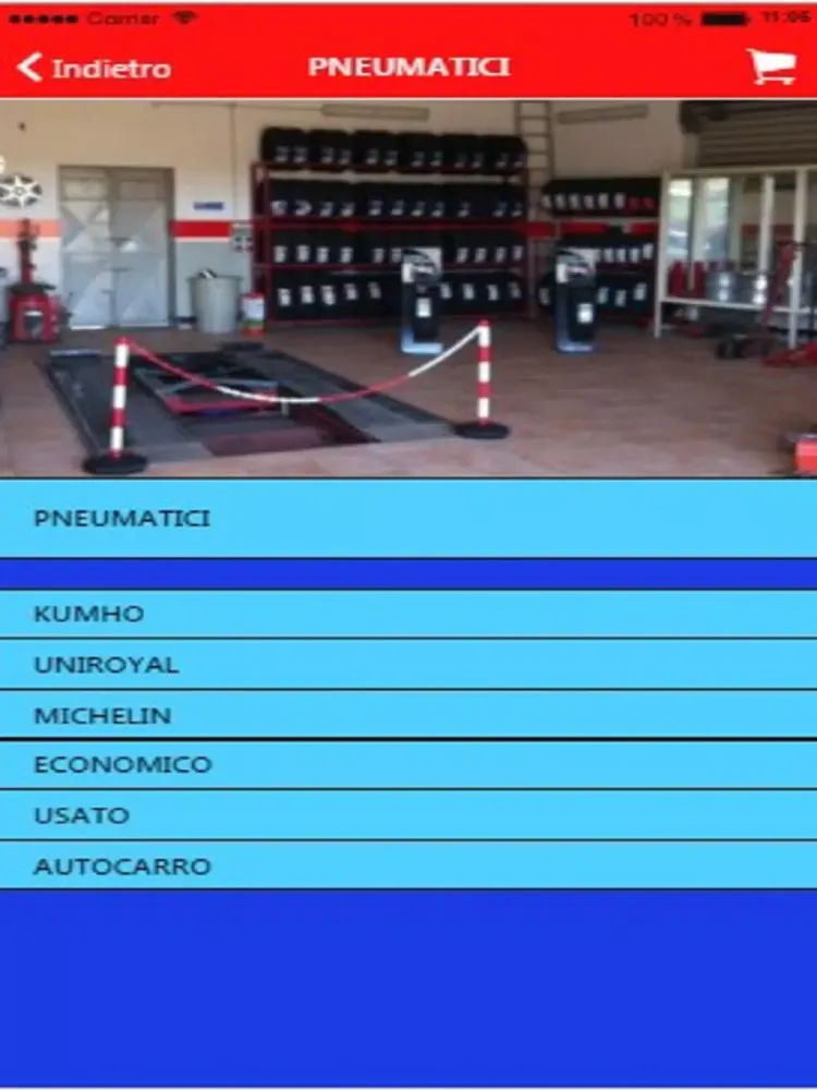 OLIVERI GOMME iPad  Ekran Görüntüleri