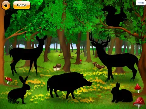 Ảnh chụp màn hình của Animales del zoo para los niños iPad 