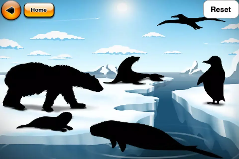 Capturas de tela do The World of Animals for kids : Free version