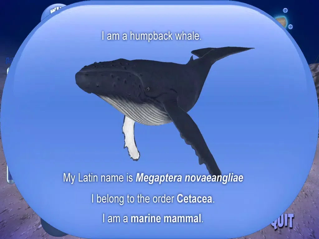 Ảnh chụp màn hình của Humpback Whale Lite iPad 