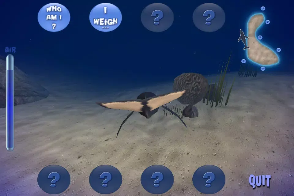 Ảnh chụp màn hình của Humpback Whale Lite