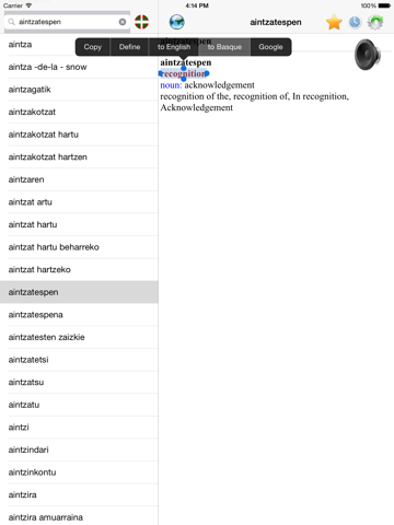 English Basque best dictionary translate - Ingelesa Euskaraz hiztegi onena itzultzailea iPad  Screenshots